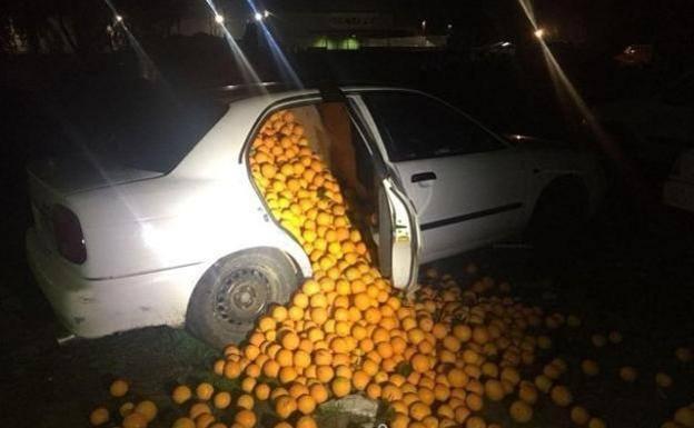 Detienen a cinco personas con 4.000 kilos de naranjas en el coche y alegan que son para consumo propio