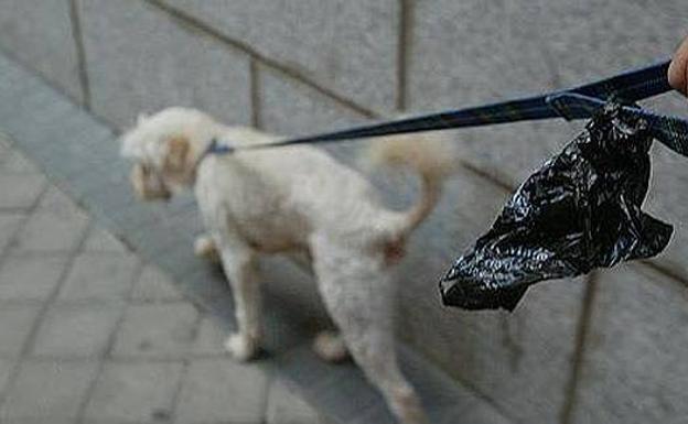 Hasta 18.000 euros de multas a los dueños de perros que no recojan heces: vigilarán agentes de paisano
