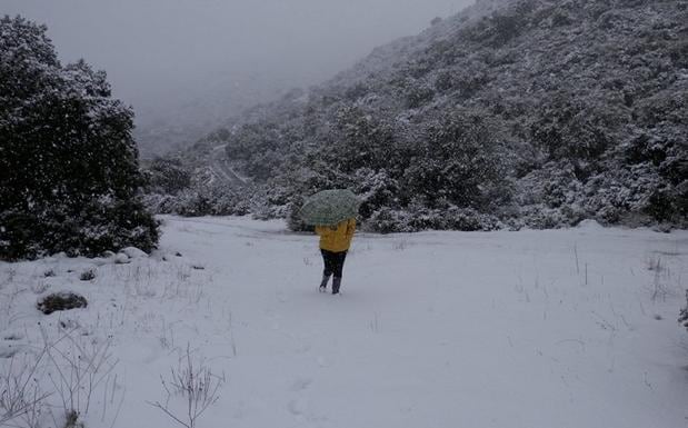 La lluvia y la nieve con hasta cinco centímetros vuelven a Jaén