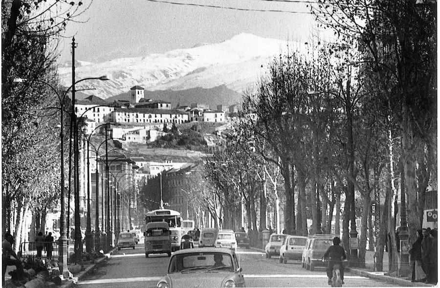 Primer tramo de la Avenida de Calvo Sotelo, junto al Triunfo. Torres Molina/Archivo de Ideal