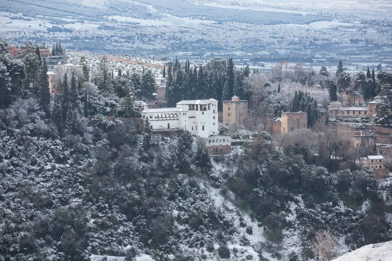 El lunes 5 de febrero de 2018 Granada se despierta bajo un manto blanco