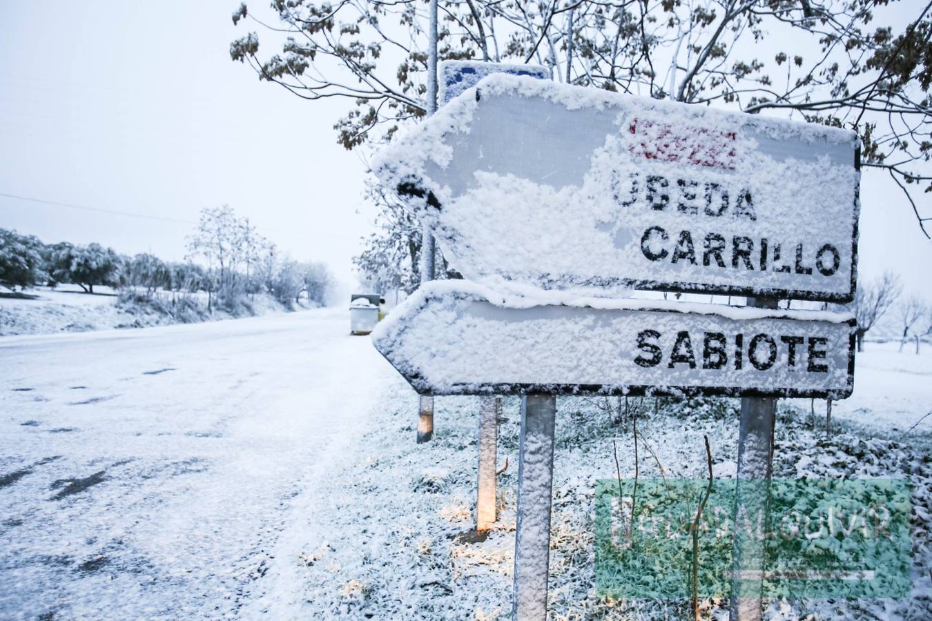 Los camiones tuvieron que quedarse inmovilizados para evitar el paso por Puerto Carretero