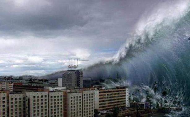 El "devastador" tsunami que amenaza a Andalucía: "Está viniendo y no hacemos nada"