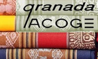 Imagen secundaria 1 - Una tormenta de ideas cae sobre Granada