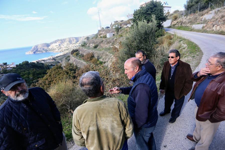 Los agricultores reclaman medidas extraordinarias como la recarga del acuífero para salvar las 4.800 hectáreas de subtropicales sexitanas