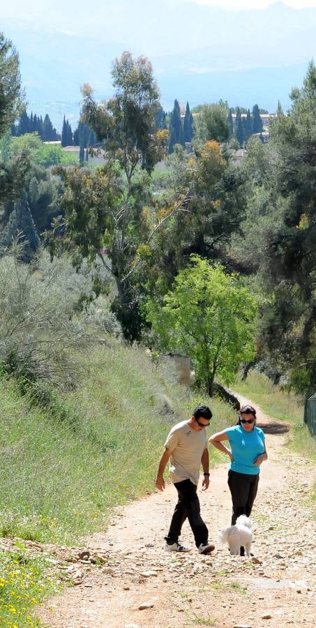 San Valentín es buen momento para paseos románticos junto al Darro, bajo las almenas de la Alhambra, y vivir paisajes para el amor 