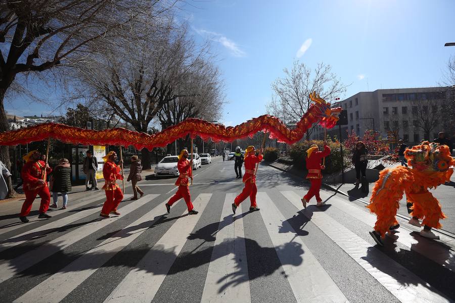 El pasacalles de la Danza del Dragón ha salido del Hospital Real 