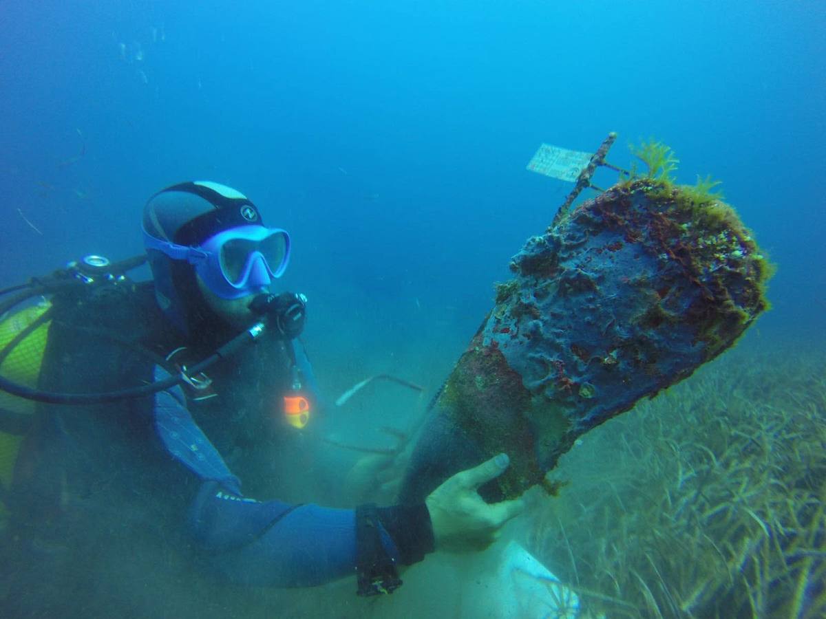 Equipo de Gestión del Medio Marino: Fue creado en 2004 para hacer el seguimiento de la biodiversidad marina andaluza y de sus hábitats más vulnerables.