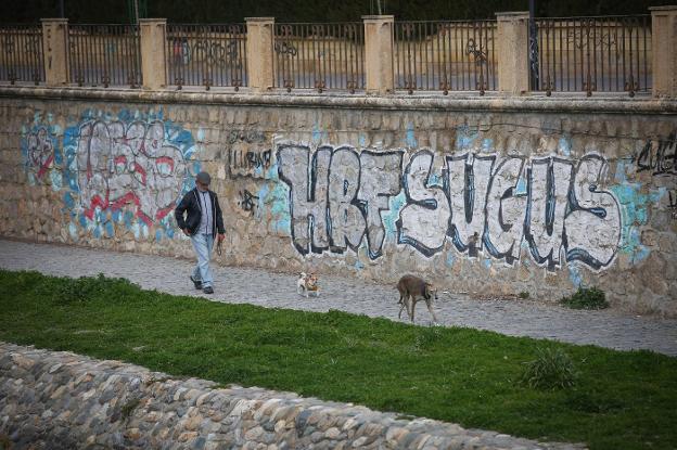 Fechorías. Un hombre pasea con sus dos mascotas junto al cauce del Genil, con un grafiti de fondo.