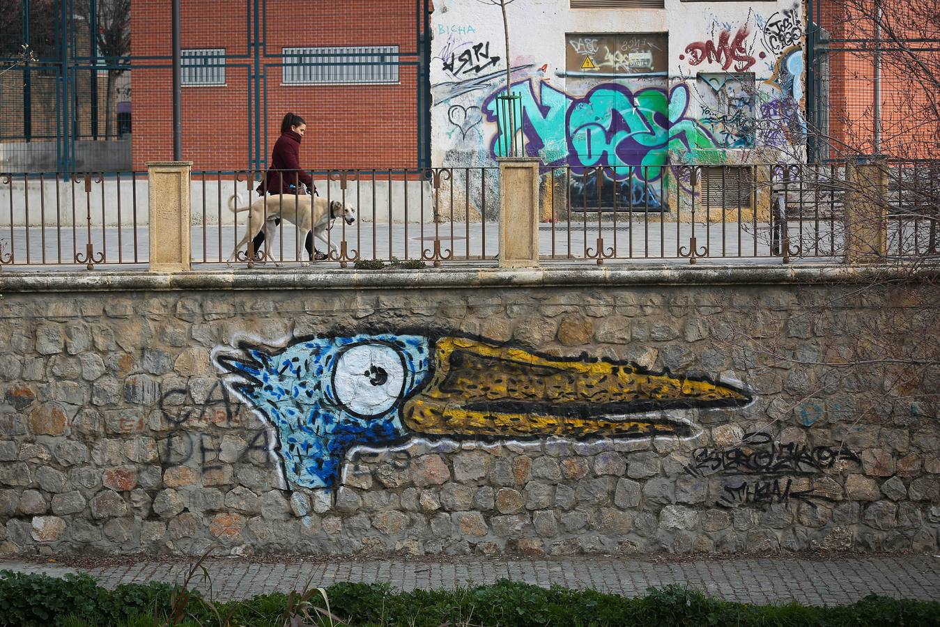 Muros, pretiles y puentes del Genil se han convertido en un espacio propicio para los gamberros se 'luzcan' con el espray o el rotulador