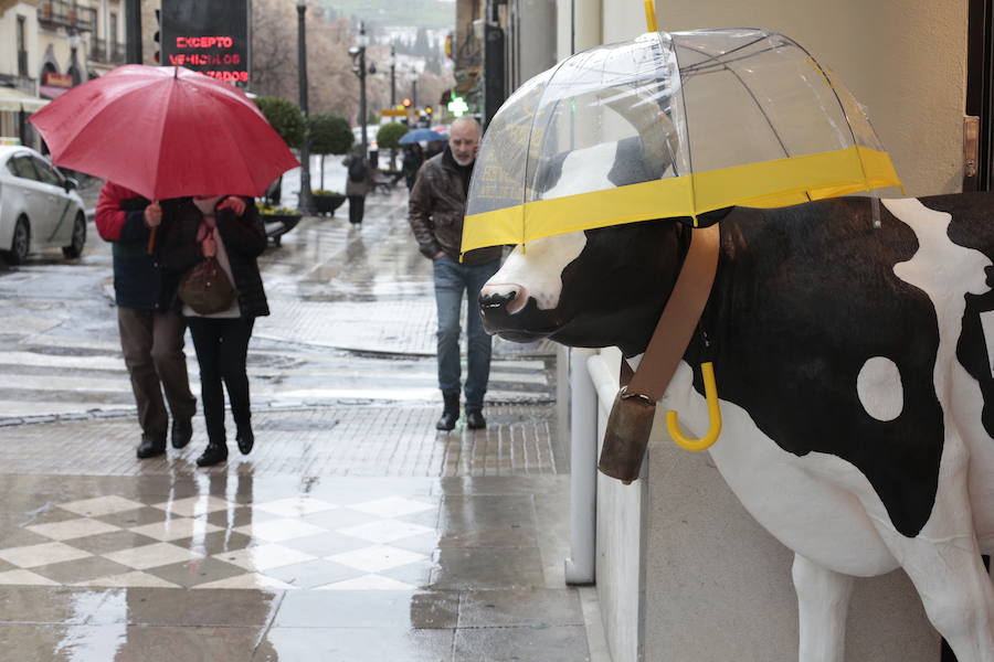 Jornada con abundancia de precipitaciones en la capìtal