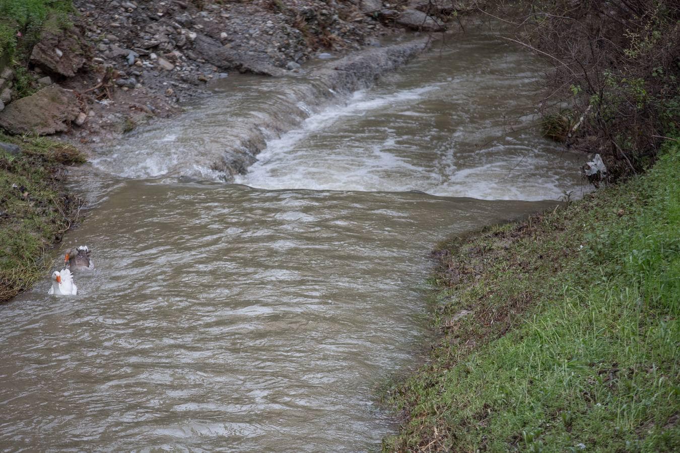 Los ríos Beiro, Darro, Dílar, Genil y Monachil, tras las últimas precipitaciones