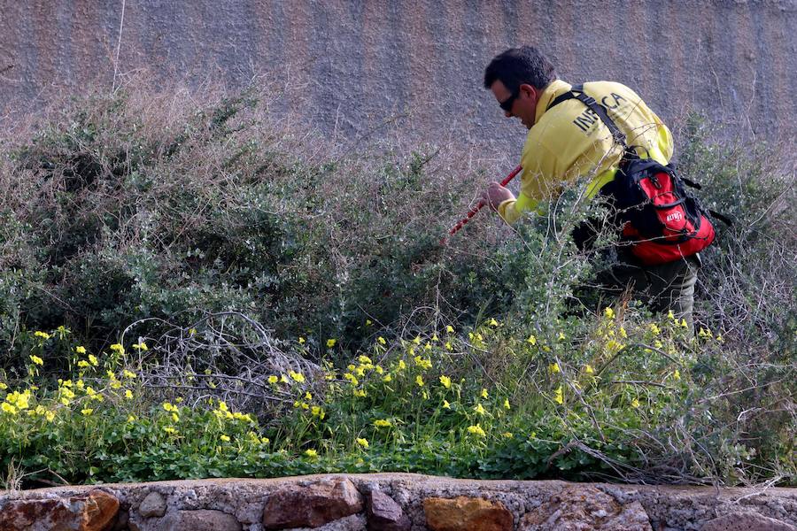 Una jornada más sobre las 7.30 horas el puesto de mando avanzado ha reanudado las labores de rastreo con la participación de 142 profesionales y especialistas de emergencias intensifican la búsqueda en el radio más cercano al punto donde fue visto por última vez el menor