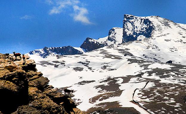 Sierra Nevada, Veleta desde los Peñones de San Francisco 