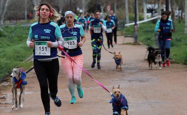 Más de 280 personas y sus perros corren en Granada para impulsar la adopción de mascotas