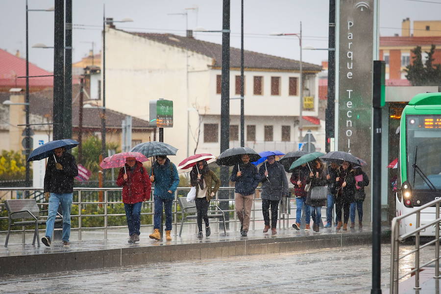 El paraguas ha sido el protagonista de estas imágenes de marzo