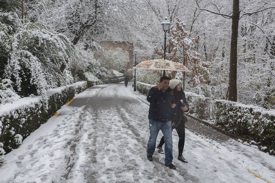 Fotos: Las bellas imágenes de Granada nevada que enamoran al mundo