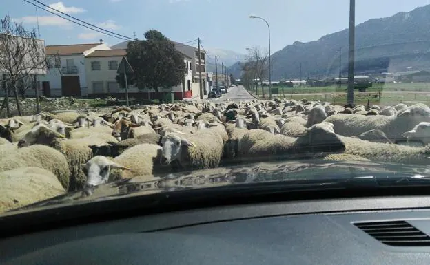 "Hora punta": la curiosa escena en un pueblo de Granada que triunfa en Facebook