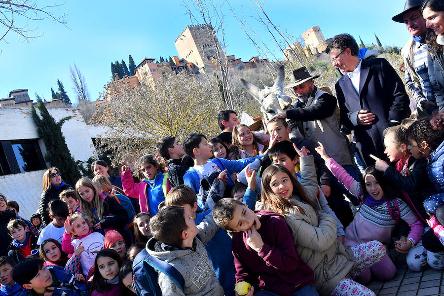 Los granadinos celebran el Día del Árbol con un paseo en recuerdo de los arrieros y reivindican el valor del viejo camino bajo la Alhambra