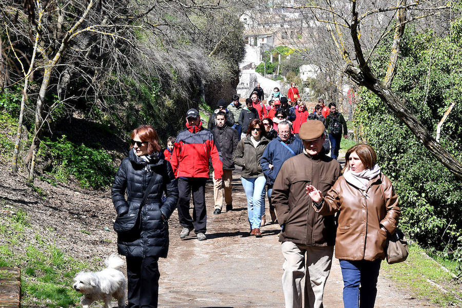 Los granadinos celebran el Día del Árbol con un paseo en recuerdo de los arrieros y reivindican el valor del viejo camino bajo la Alhambra