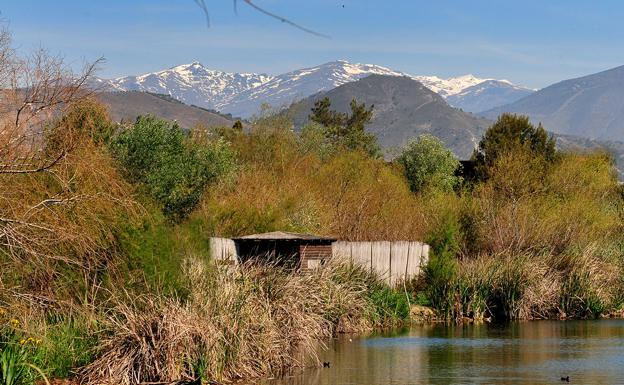 Siutuada en el delta del Guadalfeo, ocupa un provilegiado lugar con las altas cumbres de Sierra Nevada al fondo