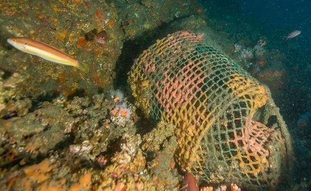 Una nasa ensuciando el fondo marino de Punta de la Mona. 