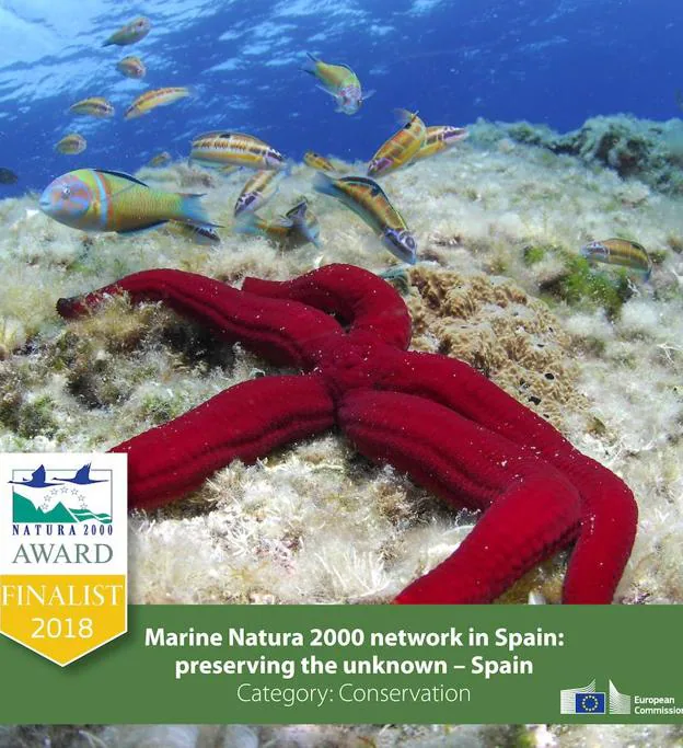 España, candidata a los Premios Natura 2000 por su trabajo en materia de conservación marina en el proyecto LIFE+INDEMARES
