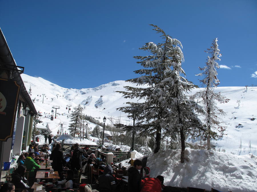 La meteorología ha acompañado y se ha disfrutado de sol durante toda la jornada con temperaturas de -9ºC en Borreguiles 