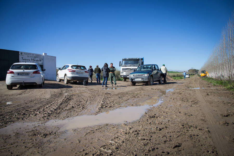 Hectáreas de Vega convertidas en un lodazal, 15 caminos casi intransitables, pérdidas millonarias... Es el rastro del temporal que persiste en Granada. 