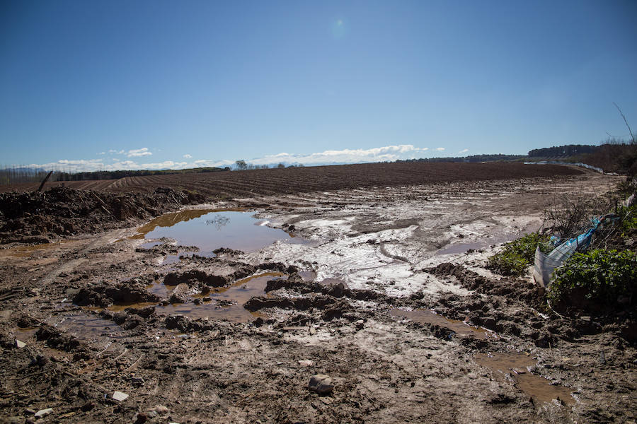 Hectáreas de Vega convertidas en un lodazal, 15 caminos casi intransitables, pérdidas millonarias... Es el rastro del temporal que persiste en Granada. 