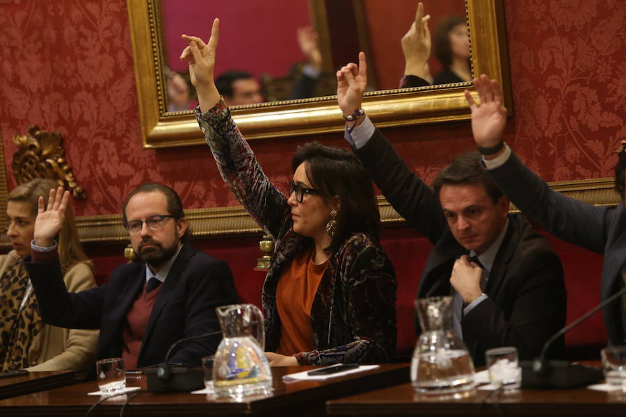 El Ayuntamiento de Granada celebra un pleno en el que se votará la personación de la administración municipal en el caso Emucesa, sobre posibles contrataciones irregulares en la empresa del cementerio.