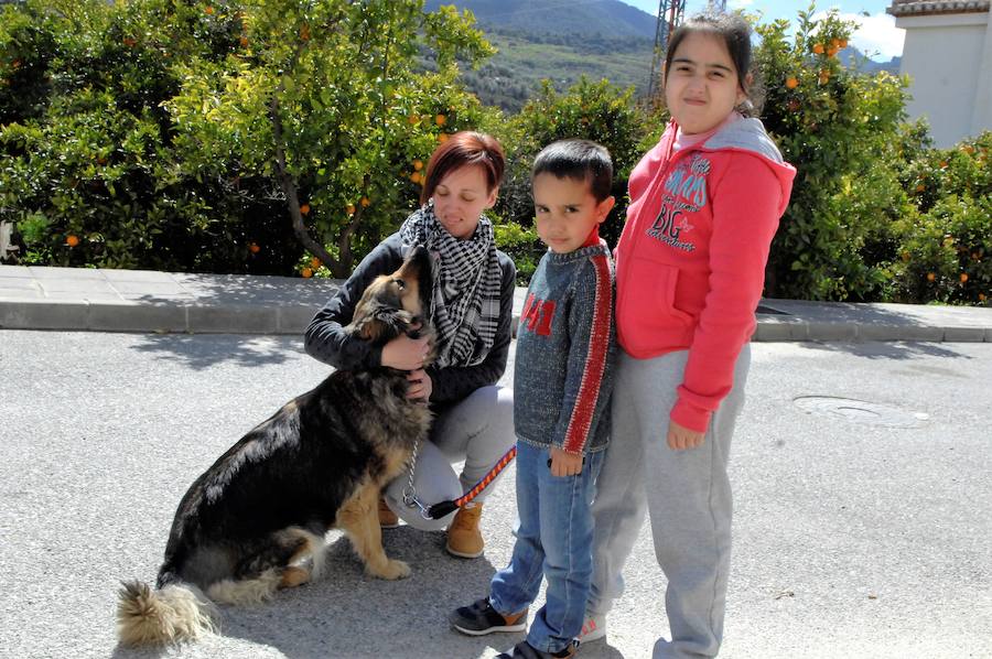 Lleva casi un mes con su nueva familia, es juguetona y está muy feliz