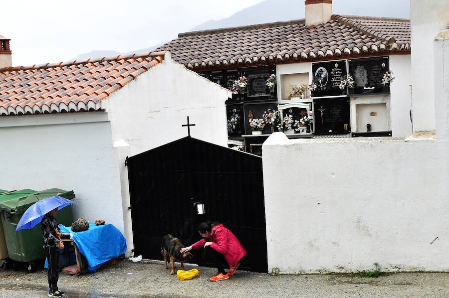 Lleva casi un mes con su nueva familia, es juguetona y está muy feliz