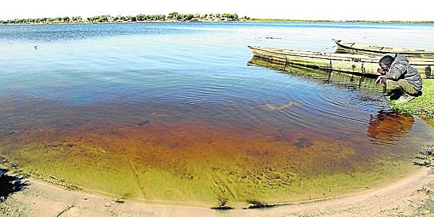 El descomunal lago que está en peligro de extinción: así buscan salvarlo