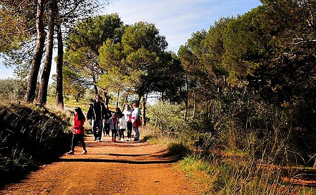 Un grupo familiar disfruta de un paseo por el sendero del Llano de la Perdiz en la colina de la Alhambra