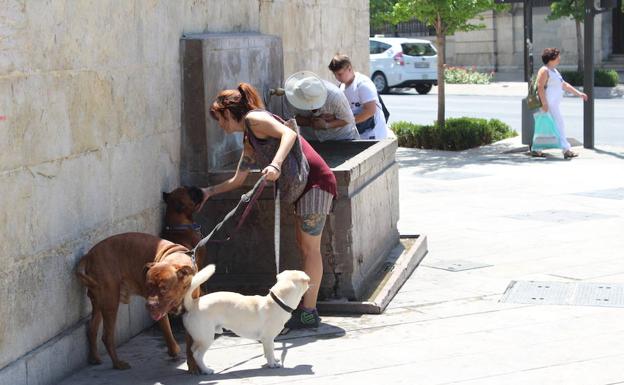 Las sorpresas del tiempo que esperan en abril, mayo y junio en toda España