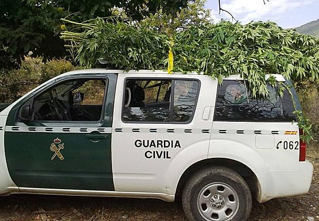 «En el pueblo también se va la luz por la 'maría'»