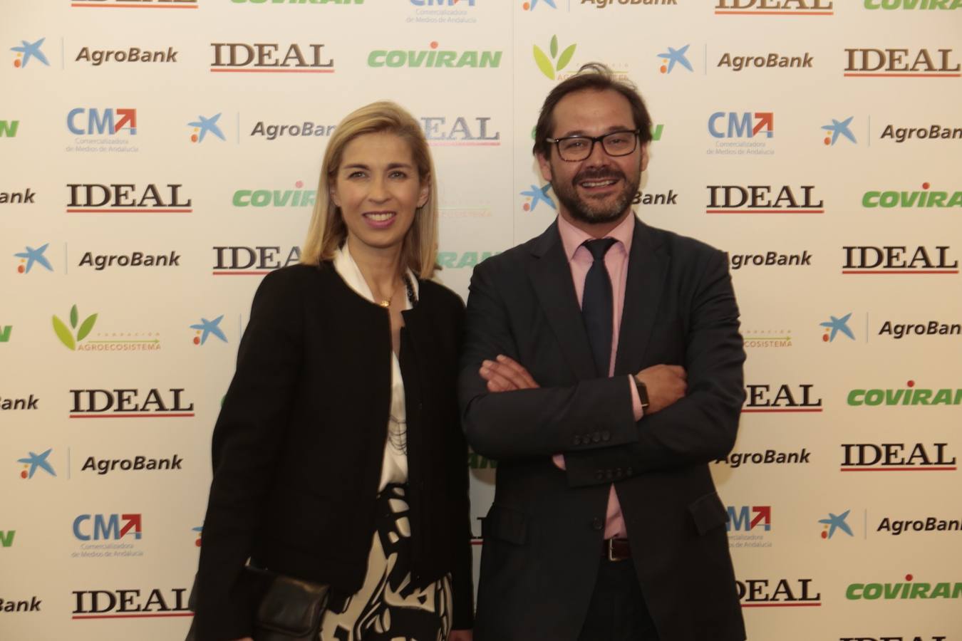 Se conceden diez de estos galardones, promovidos por IDEAL y Caixabank