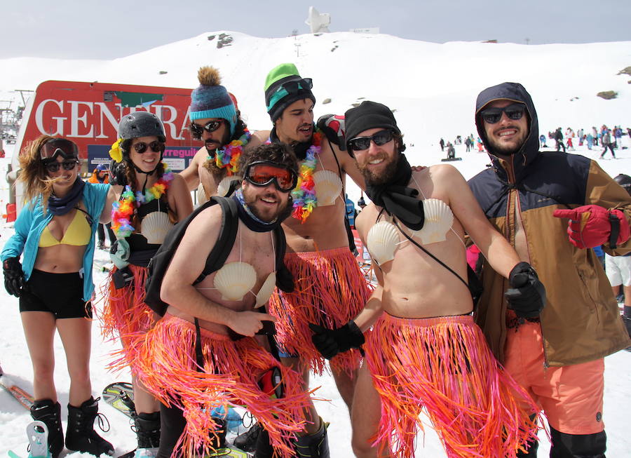 La actividad, acto central de la primavera en Sierra Nevada, anuncia el tramo final de la temporada, que se prolonga hasta el 6 de mayo