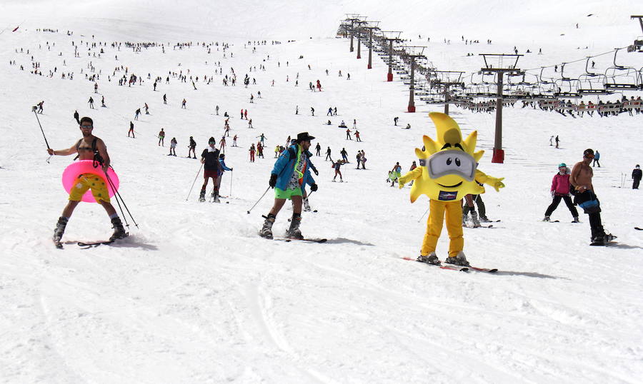 La actividad, acto central de la primavera en Sierra Nevada, anuncia el tramo final de la temporada, que se prolonga hasta el 6 de mayo