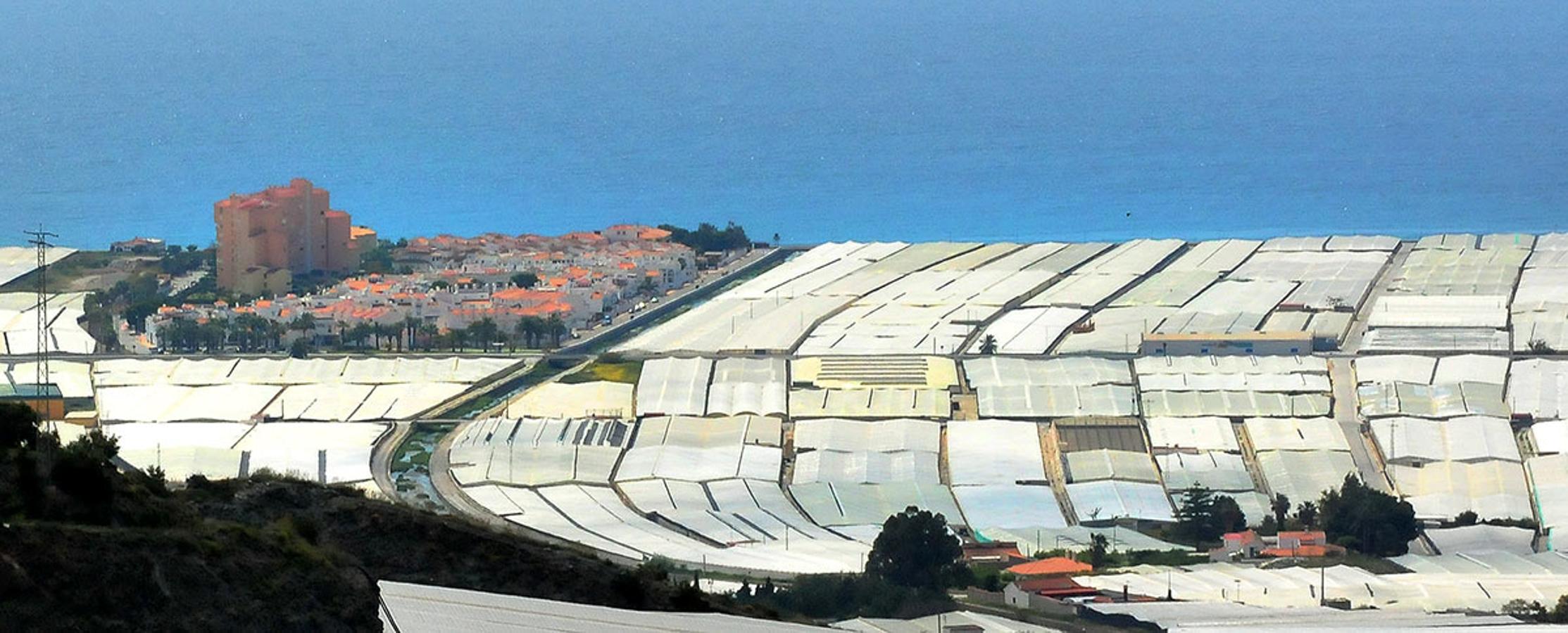 El plástico en la costa de Granada no solo avanza, sino que oculta la tierra por completo. Invernaderos en Carchuna.