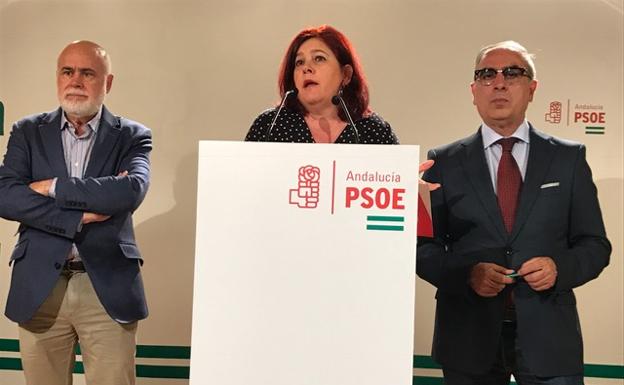 El PSOE pide partidas para el fin del aislamiento por tren a Granada y el eje eléctrico