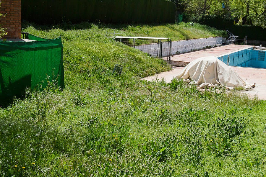 La antigua piscina de los Paseíllos, propiedad de la Universidad de Granada, lleva cuatro años cerrada.