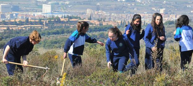 Imagen de archivo de alumnas del colegio Sagrada Familia de Granada durante una reforestación en las laderas de la Dehesa del Generalife
