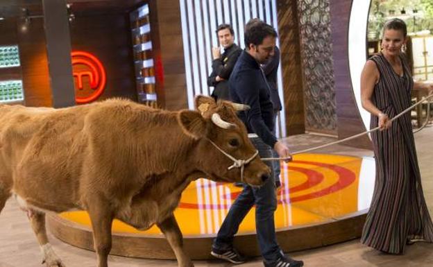 El programa con más polémica de 'MasterChef': los cortes de la vaca viva, el rabo de toro de Samantha y la campana