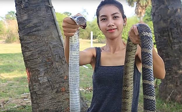 Se come animales en extinción, lo comparte en YouTube y acaba detenida