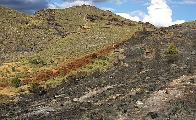 Zona afectada por el fuego en el paraje Los Loritos del Desierto de Tabernas.
