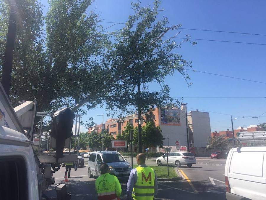 El metropolitano ha seguido circulando, pero la Policía Local ha cortado este tramo de la vía para demás vehículos