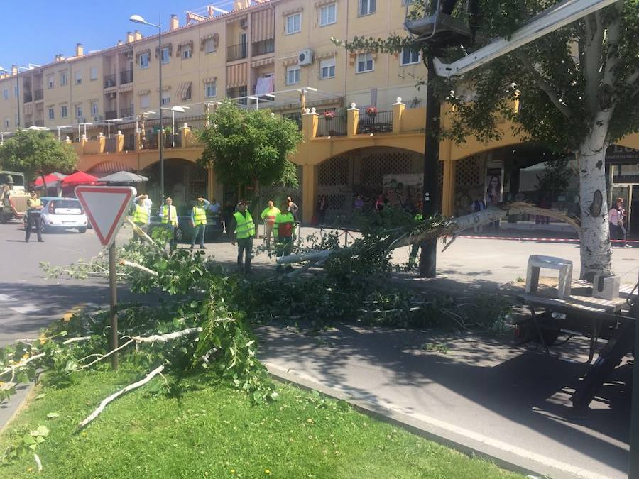 El metropolitano ha seguido circulando, pero la Policía Local ha cortado este tramo de la vía para demás vehículos