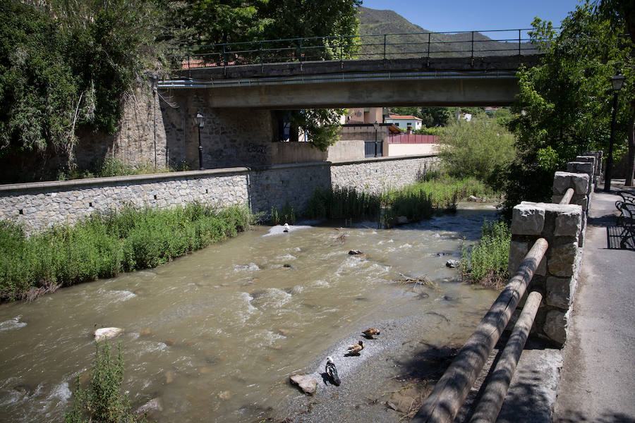 Unas imágenes que no se veían desde hacía mucho en Granada